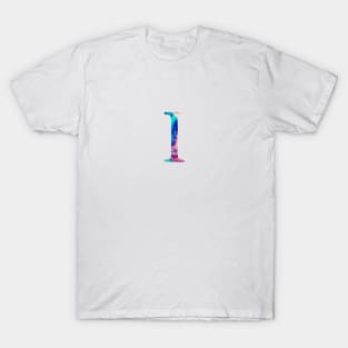 Rainbow Marble Iota T-Shirt